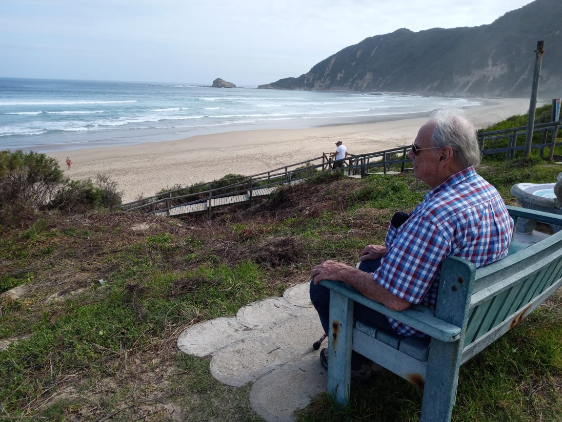 Zwartvlei dolphin watching